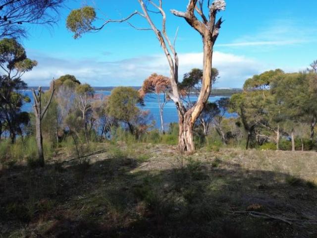 Land for sale