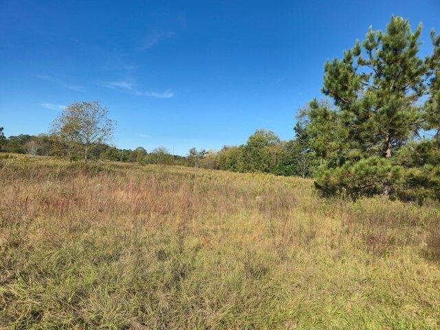 Land for sale in Americus, Georgia