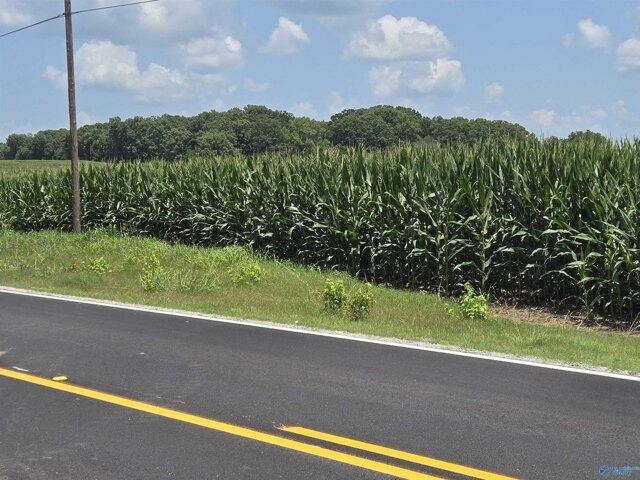 Land for sale in Anderson, Alabama
