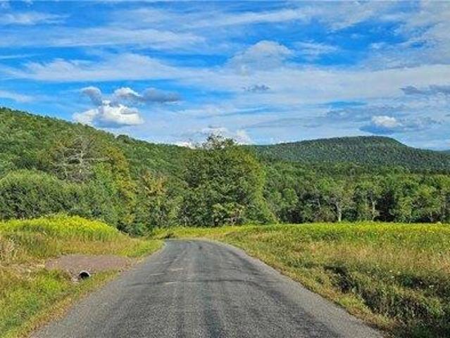 Land for sale in Andes, New York