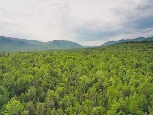 Land for sale in Andover, Maine