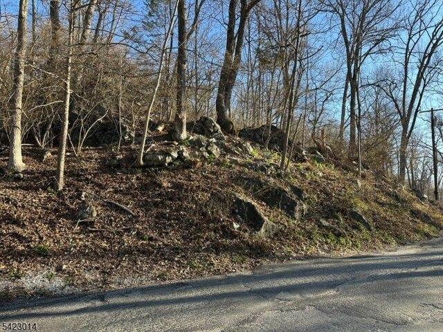 Land for sale in New Jersey