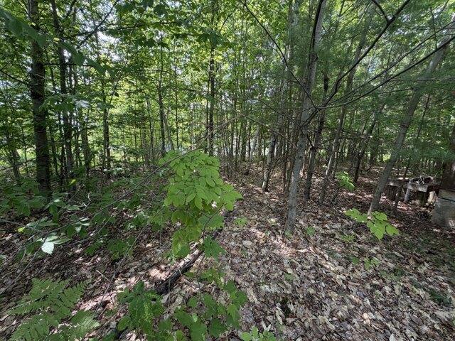 Land for sale in Anson, Maine
