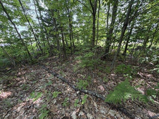 Land for sale in Anson, Maine