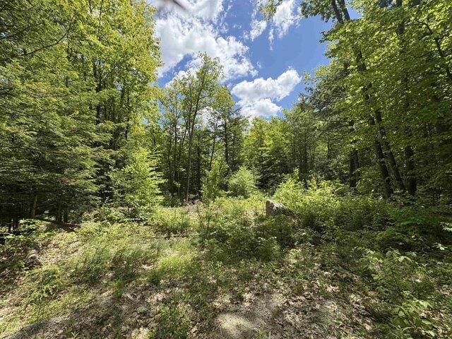 Land for sale in New Hampshire