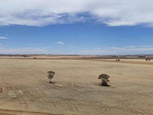 Land for sale in Appila, South Australia