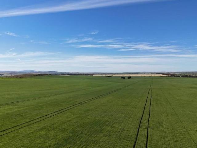 Land for sale in Appila, South Australia