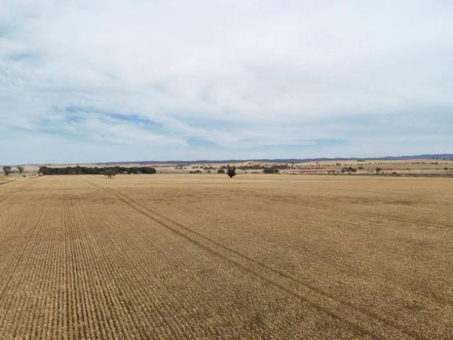 Land for sale in Appila, South Australia