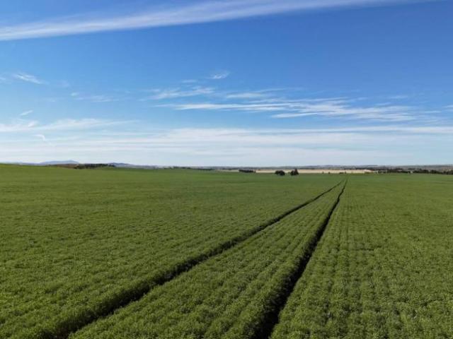 Land for sale in Appila, South Australia
