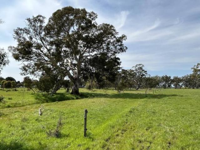Land for rent in Apsley, Victoria