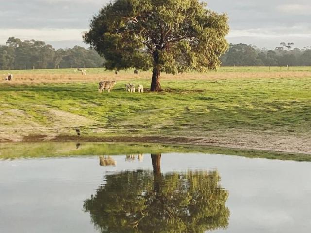 Land for rent in Apsley, Victoria