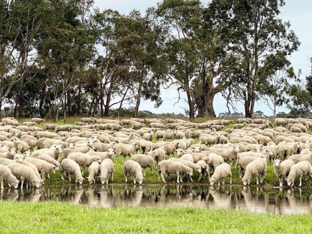 Land for rent in Apsley, Victoria