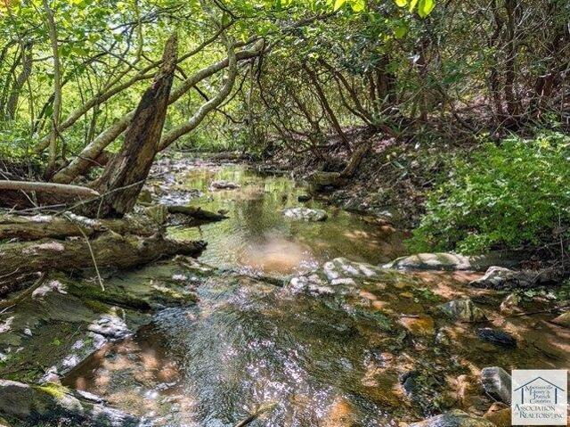 Land for sale in Virginia