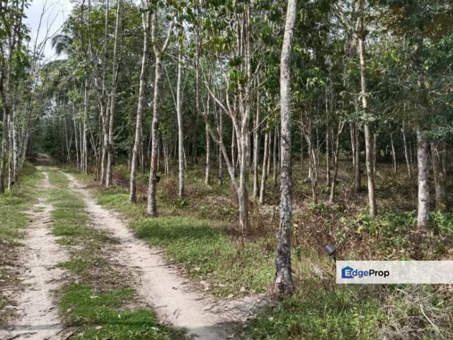 Shop for sale in Tanah Merah, Kelantan