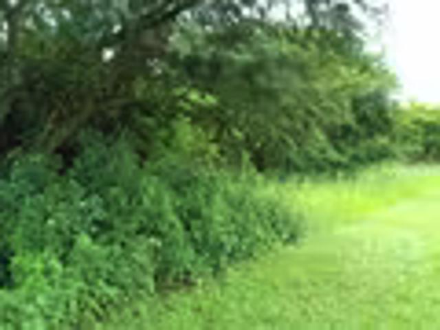 Land for sale in Umgungundlovu, Kwazulu-natal