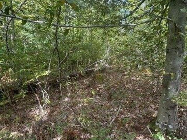 Land for sale in Ashby, Massachusetts