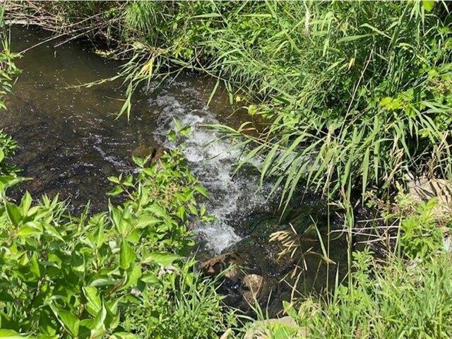 Land for sale in Minnesota
