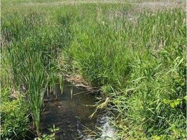 Land for sale in Minnesota