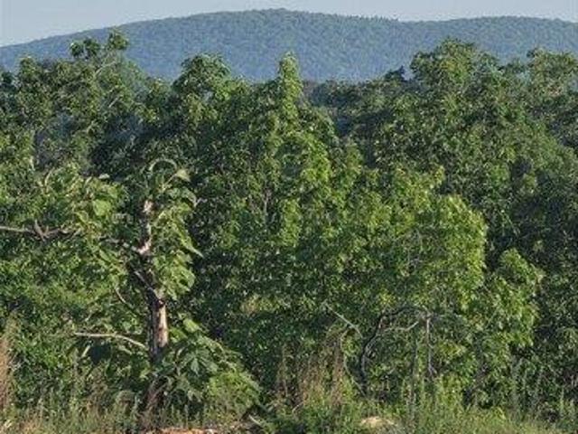 Land for sale in Asheboro, North Carolina