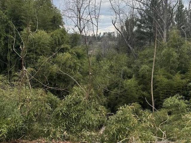 Land for sale in Asheville, North Carolina