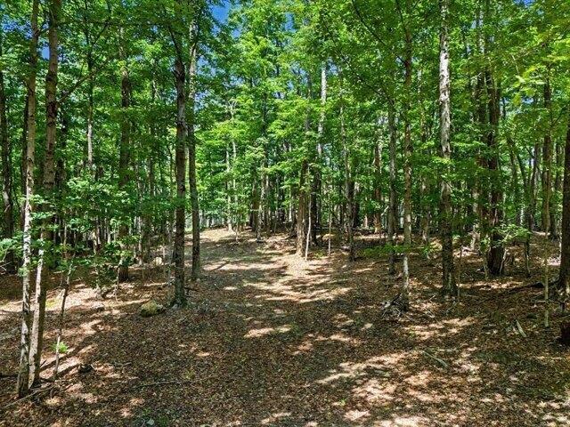 Land for sale in Ashfield, Massachusetts