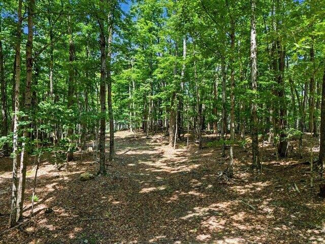 Land for sale in Ashfield, Franklin County