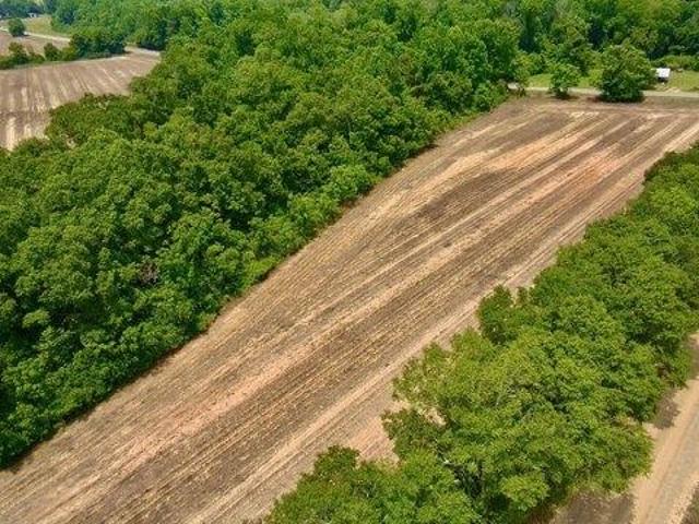 Land for sale in Ashford, Alabama