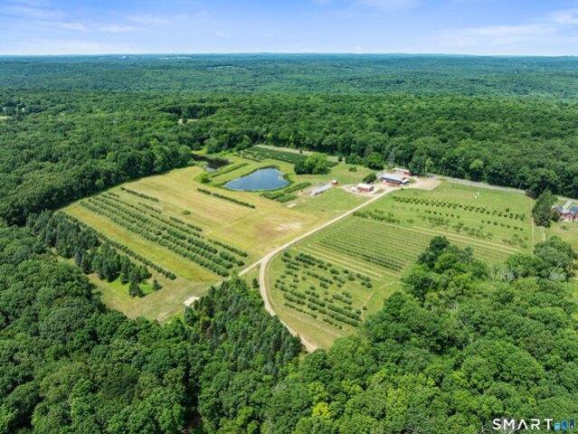 Land for sale in Ashford, Connecticut