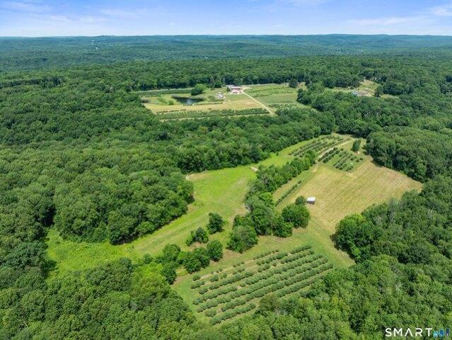 Land for sale in Ashford, Connecticut