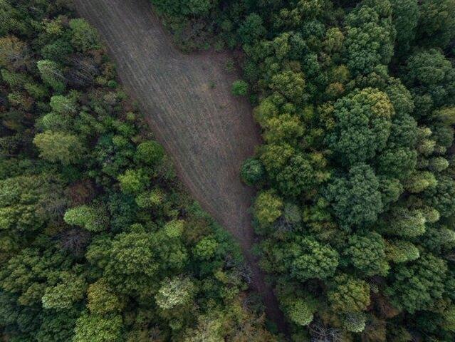 Land for sale in Tennessee