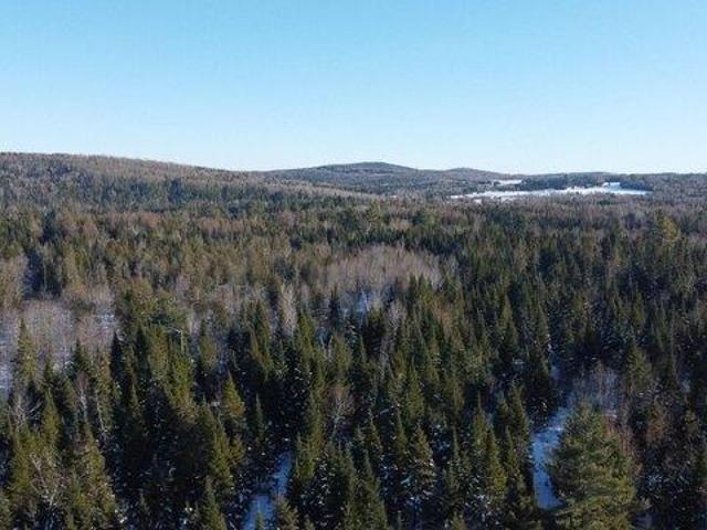 Land for sale in Ashland, Maine