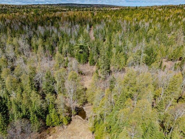 Land for sale in Ashland, Maine