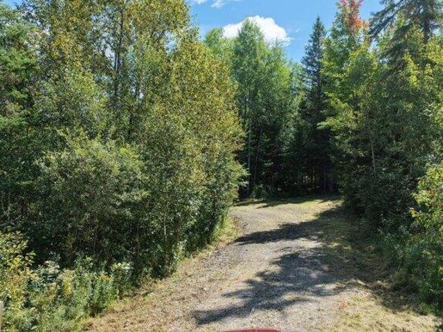 Land for sale in Ashland, Maine