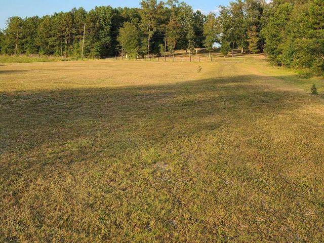Land for sale in Ashville, Alabama