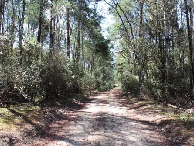 Land for sale in Calder, Tasmania