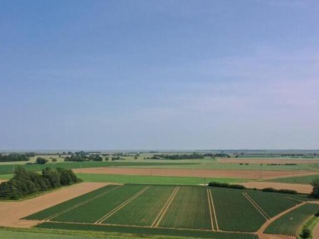 House for sale in Boston, Lincolnshire