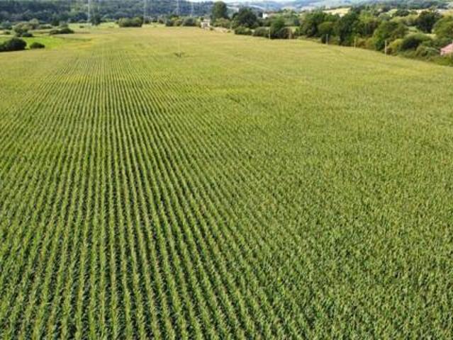 House for sale in Watergate, Devon