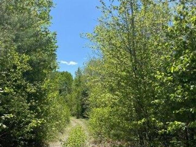 Land for sale in Athens, Maine