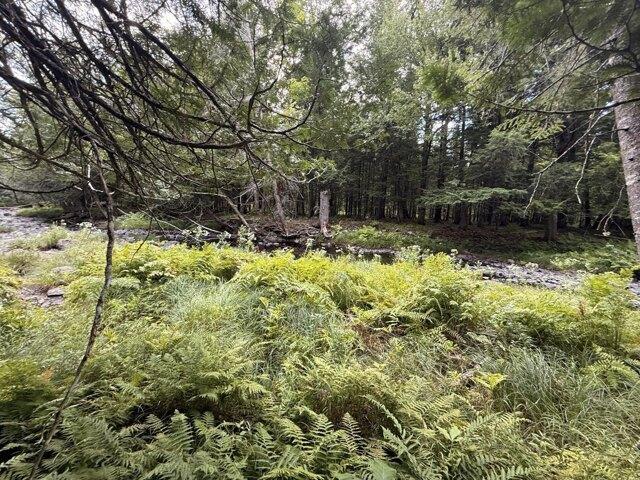 Land for sale in Athens, Somerset County