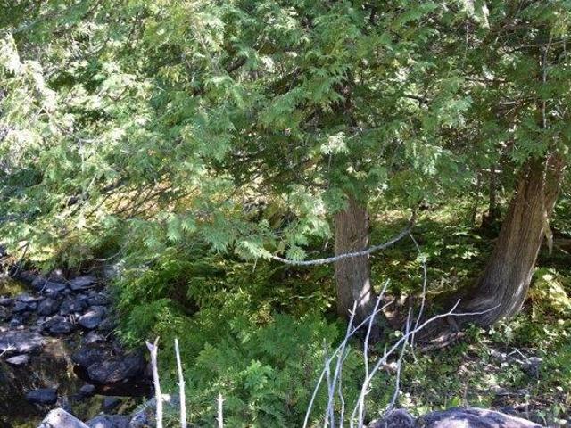 Land for sale in Corsons Corner, Athens