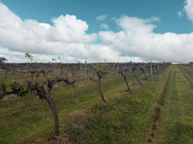 Land for sale in South Australia