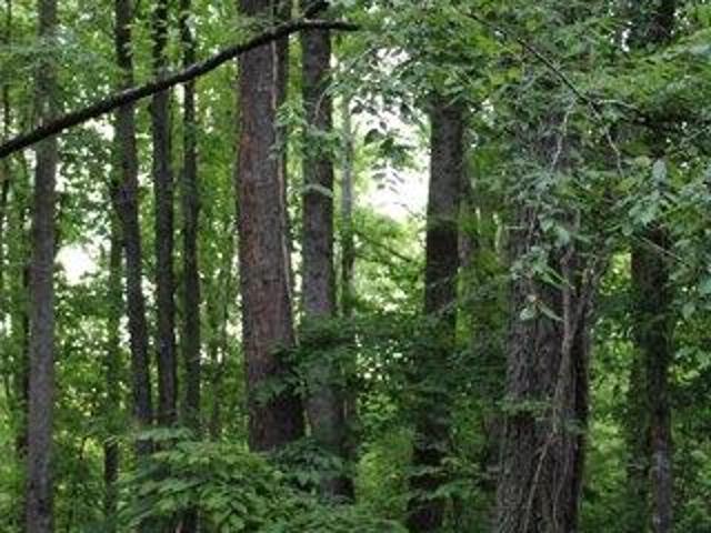 Land for sale in Auburn, Georgia