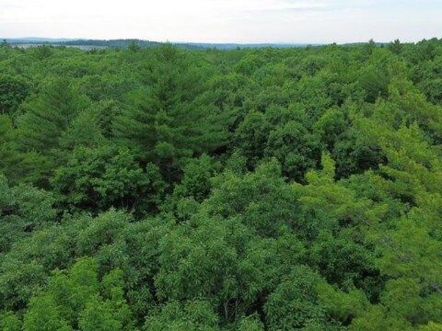 Land for sale in Augusta, Maine