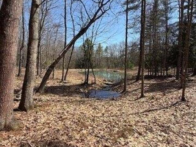 Land for sale in Maine