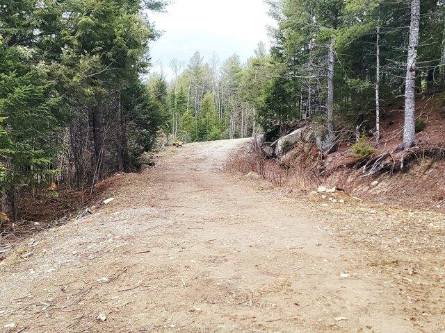 Land for sale in Maine