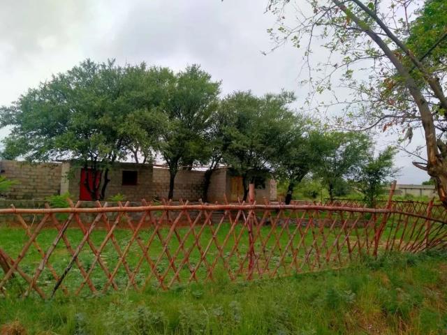 Land for rent in Islamabad