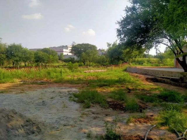 Land for rent in جی-13, اسلام آباد