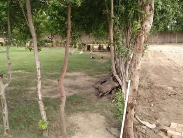Land for sale in North Waziristan, Federally Administered Tribal Areas fata