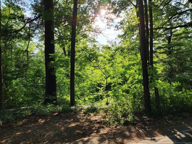 Land for sale in Avon, Connecticut