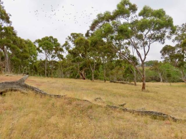 Land for rent in Balmoral, Victoria